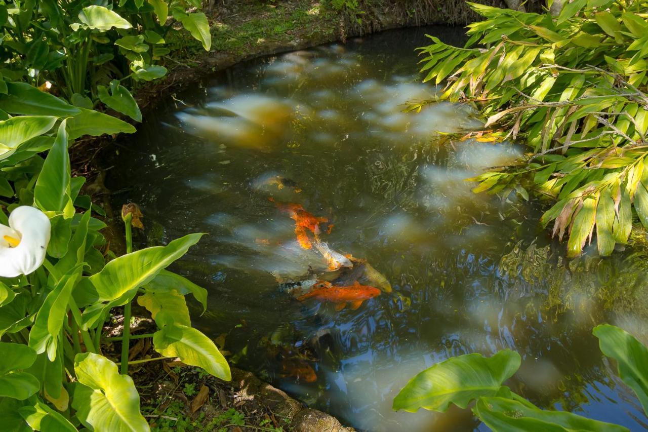Pousada Passaredo Montanha Ibiuna Luaran gambar