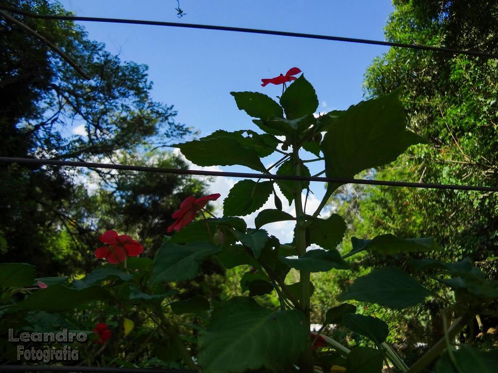Pousada Passaredo Montanha Ibiuna Luaran gambar
