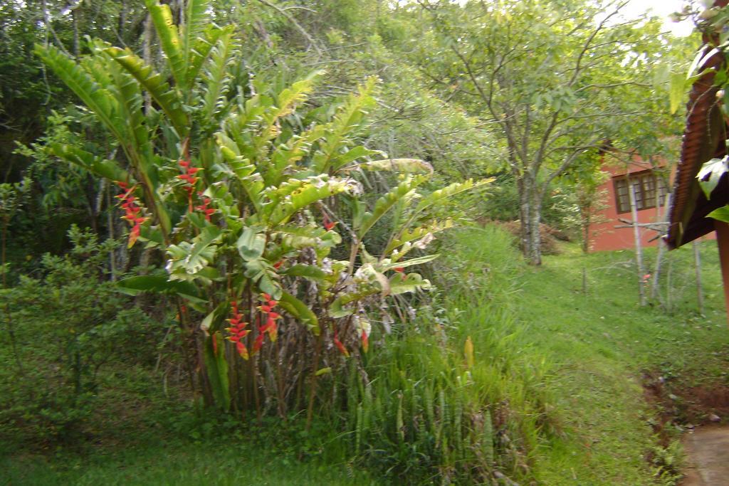Pousada Passaredo Montanha Ibiuna Luaran gambar