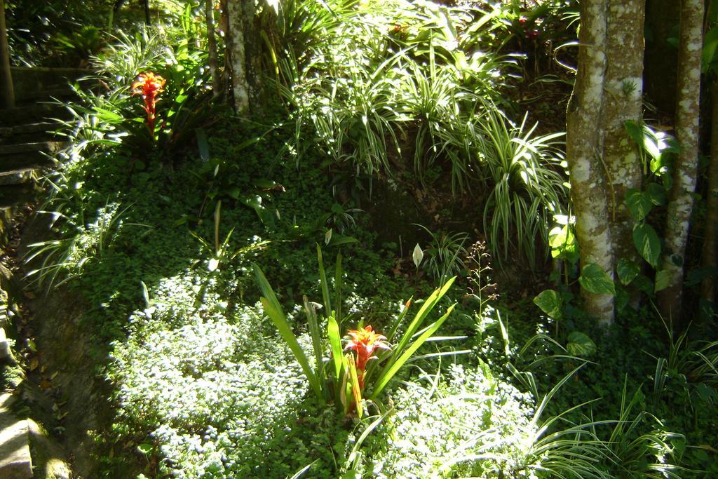 Pousada Passaredo Montanha Ibiuna Luaran gambar